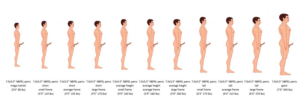 height_simulation_spectrum.jpg