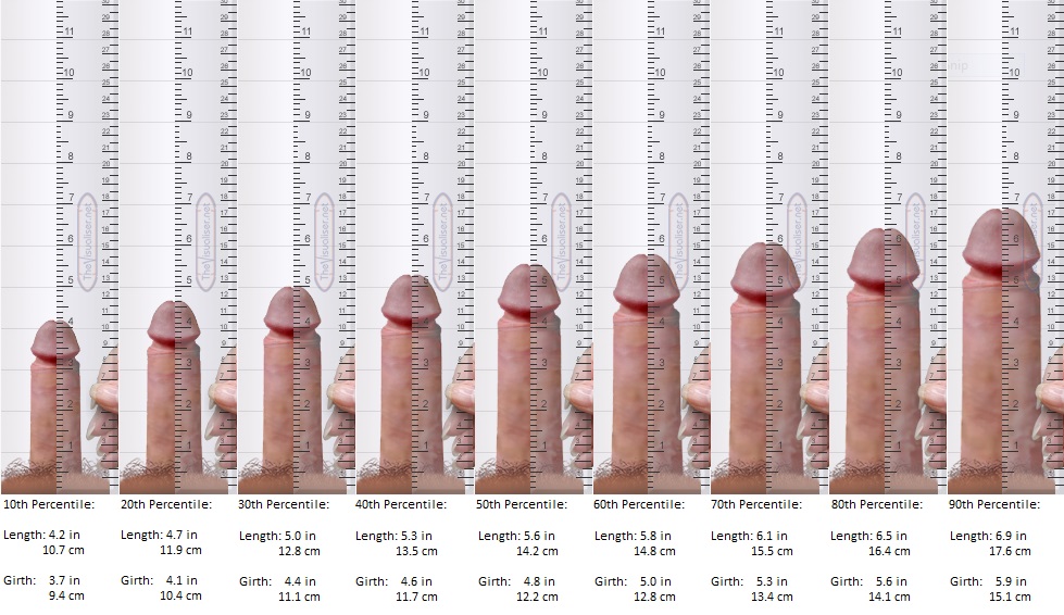 Breaking Down Latest Penis Size Survey - small-X-change - MA