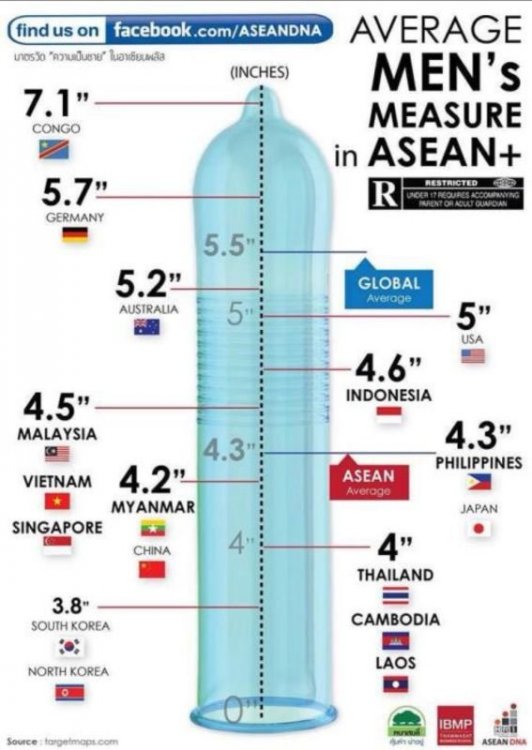 Average National Penis Length.jpg