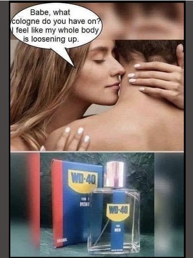 1531957699_wd40.jpg.926c224f67dc2ad6faddc2840ed14d07.jpg