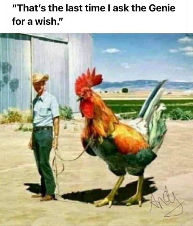 Wish.thumb.jpg.9e8090651bd9d1ad95be77ef8cadcc46.jpg