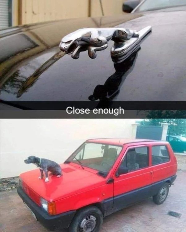 hoodornament.thumb.jpg.b8c34269dfadaeb928c0f194ee205572.jpg