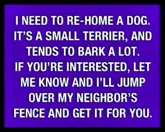 911058790_newhomefordog.jpg.f1aba03f6846644fde7d66cad9266422.jpg