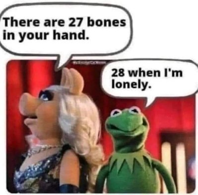KermitcorrectsMissPiggy.jpg.257e6e15e92e476abf179c43c825a7dd.jpg