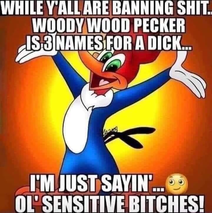 Woody.jpg.830d5e853beb2e37db676ae0ccd1175e.jpg