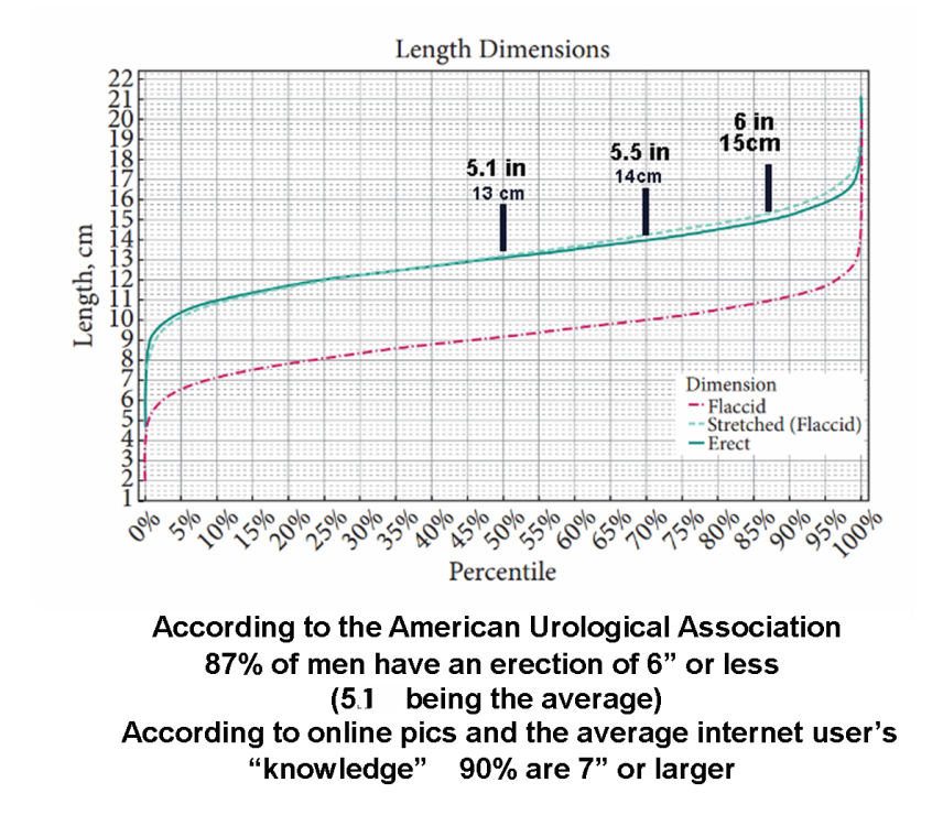 Penis size CM.png