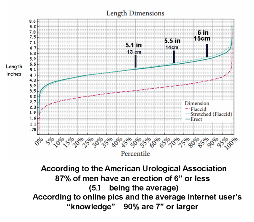 Penis size INCHES.png