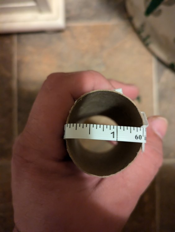 toilet paper roll test - Page 9 - small-X-change - MAIN FORUM ...